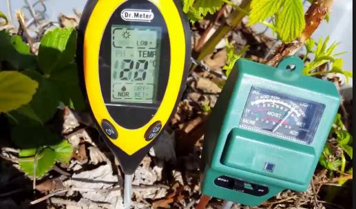 Máy đo độ pH đất với sự phát triển của cây trồng